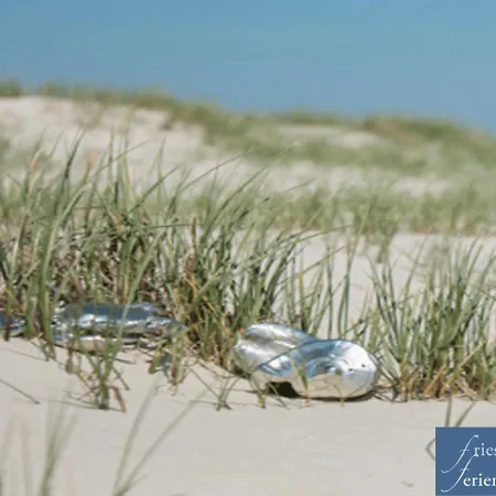 Friesenhain Ferienwohnungen Sankt Peter-Ording Exterior foto